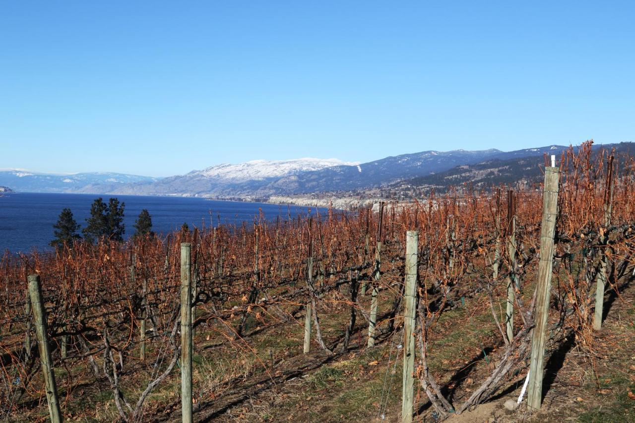 Sunshine And Wine Loft Otel Penticton Dış mekan fotoğraf