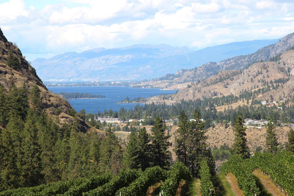 Sunshine And Wine Loft Otel Penticton Dış mekan fotoğraf