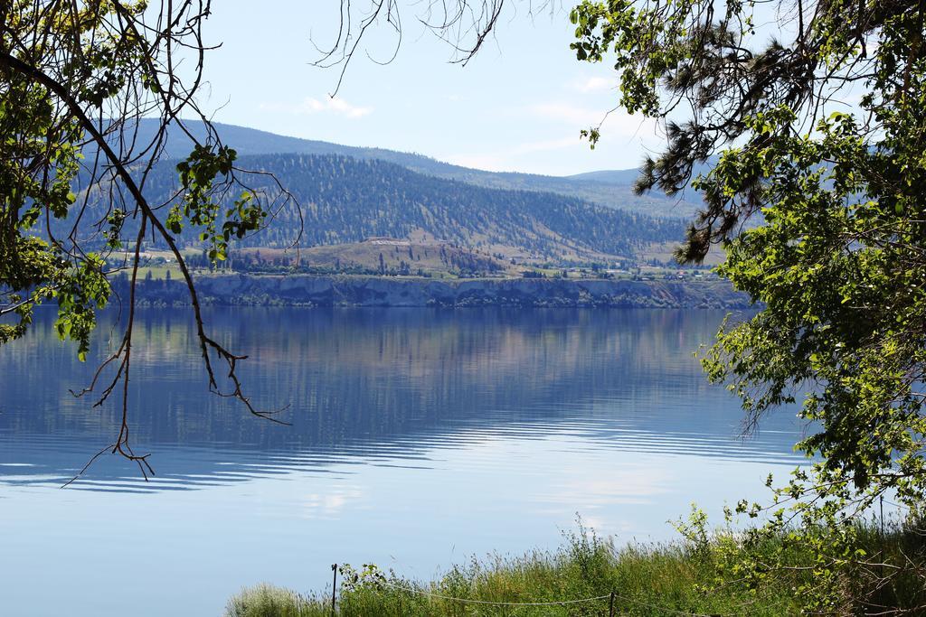 Sunshine And Wine Loft Otel Penticton Dış mekan fotoğraf
